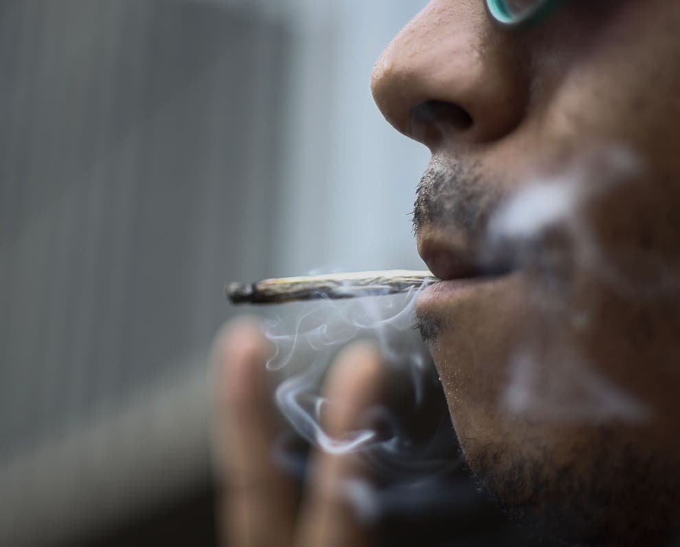 Smoking Cannabis Every Day Can Distort Brain Activity Research