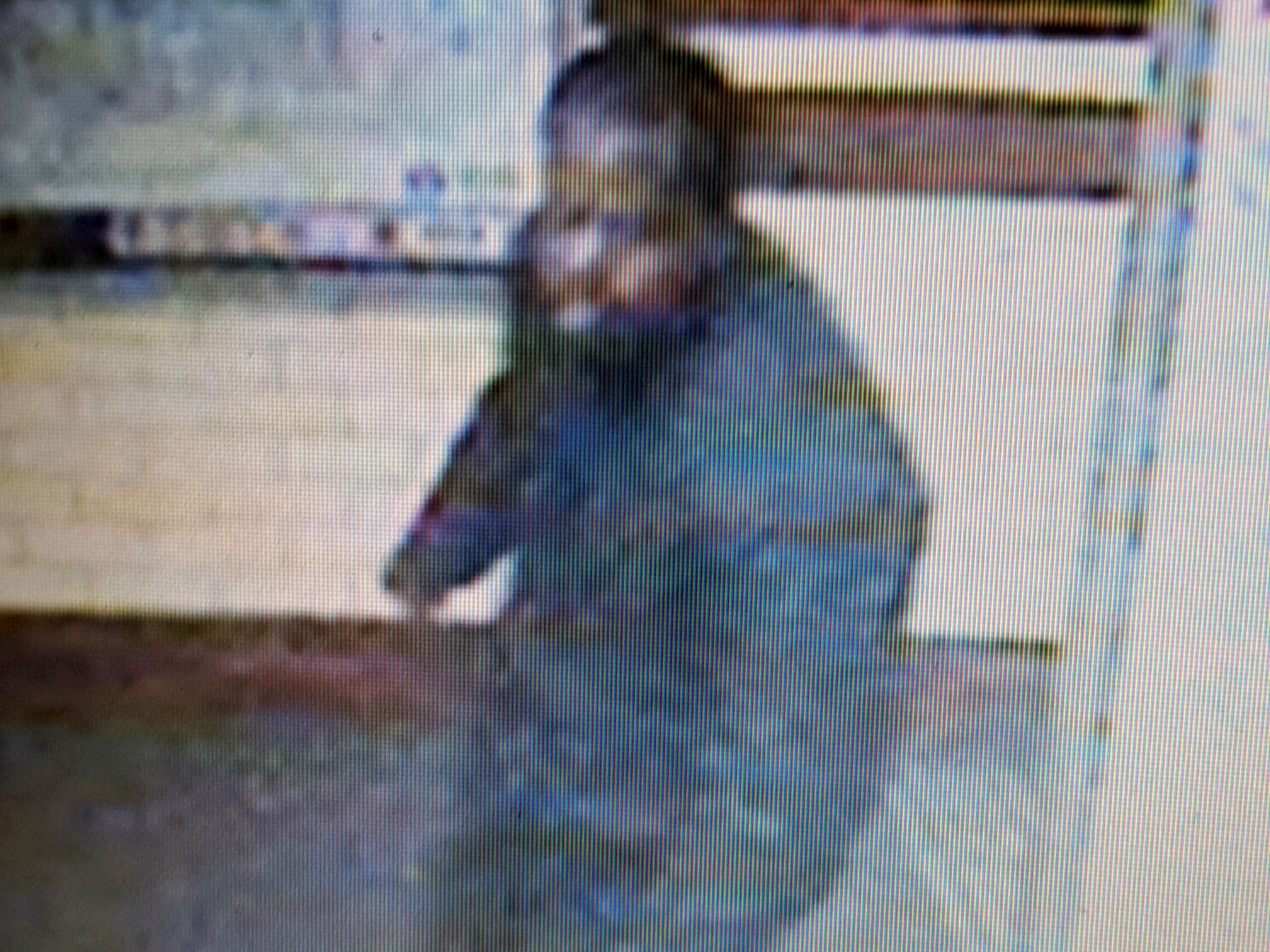The man sought by police after a passenger was pushed in front of a train at Kentish Town Tube station