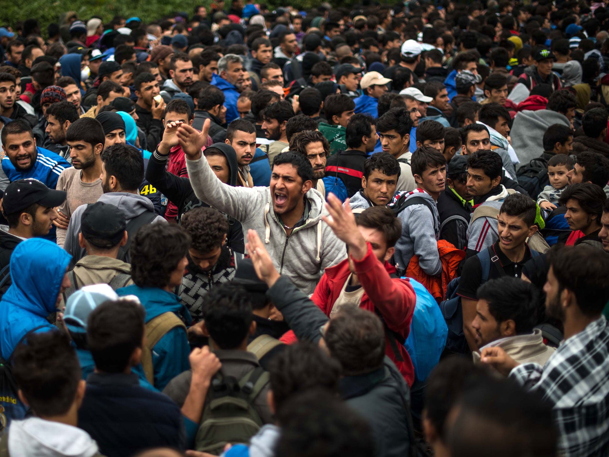 Refugees from Syria try to organise the queue as they wait to cross into Croatia through the Serbian border on 25 September, 2015 in Bapska, Croatia