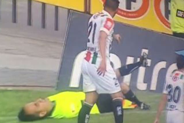 The linesman Carlos Echeverria holds his leg after the incident