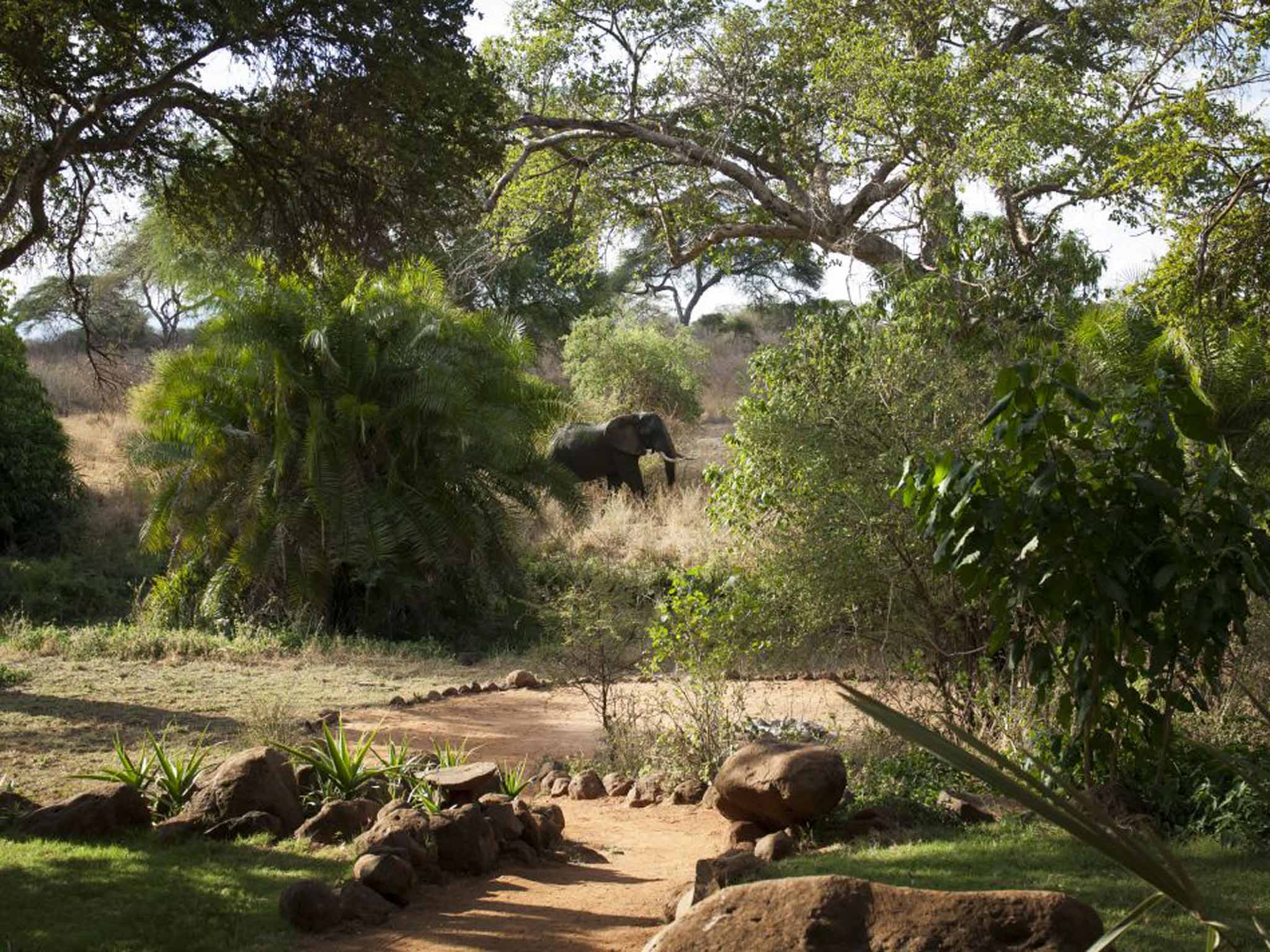 Careful where you walk in Kenya's national parks