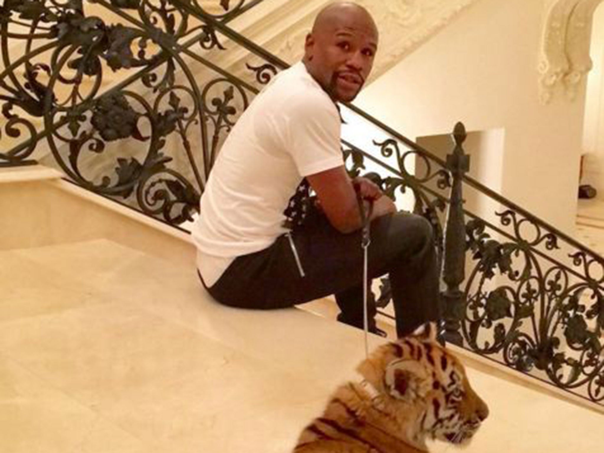 Floyd Mayweather posted a picture of himself with a pet tiger on Instagram