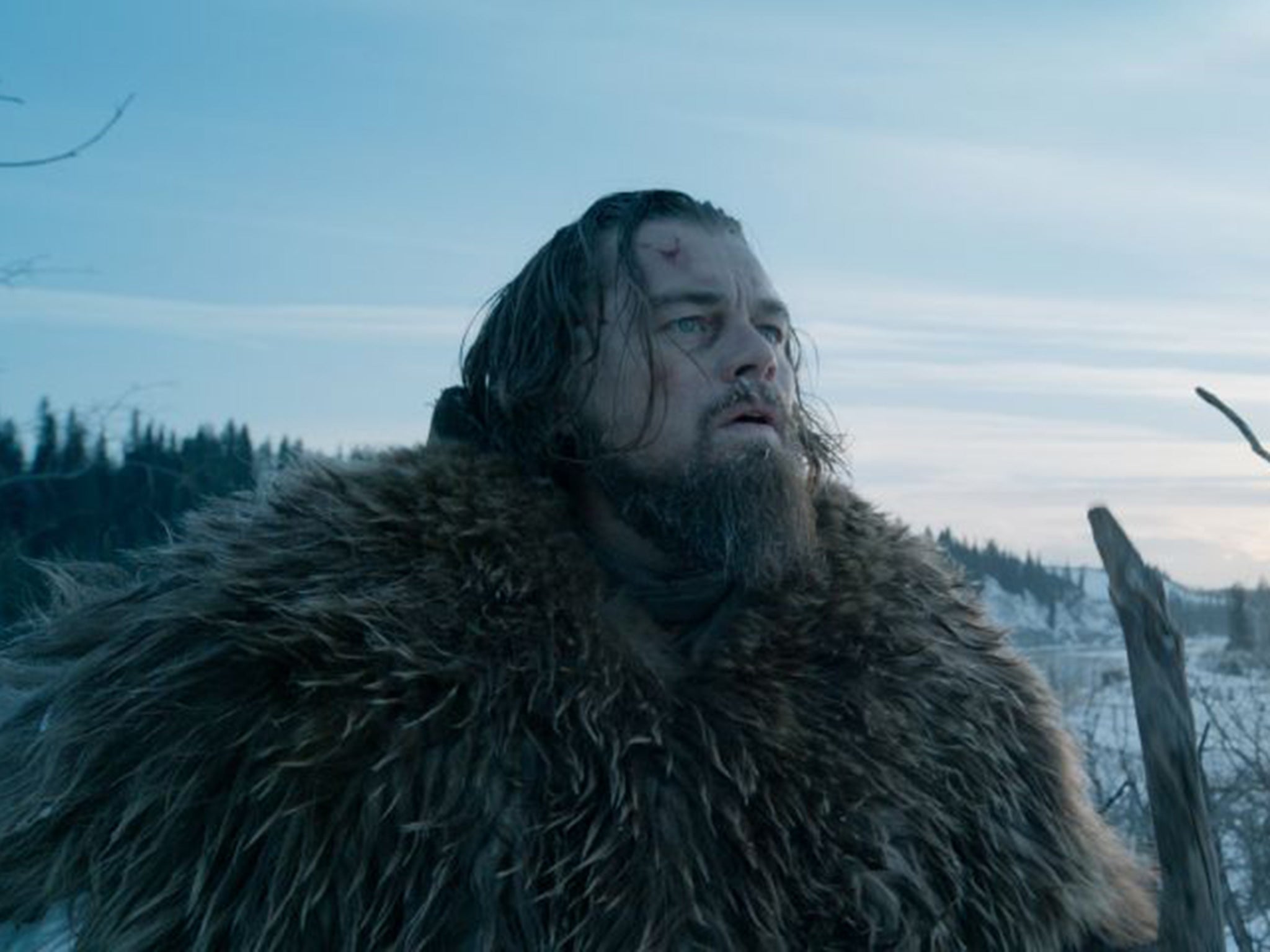 Grizzly: Leonardo DiCaprio as fur-trapper Hugh Glass