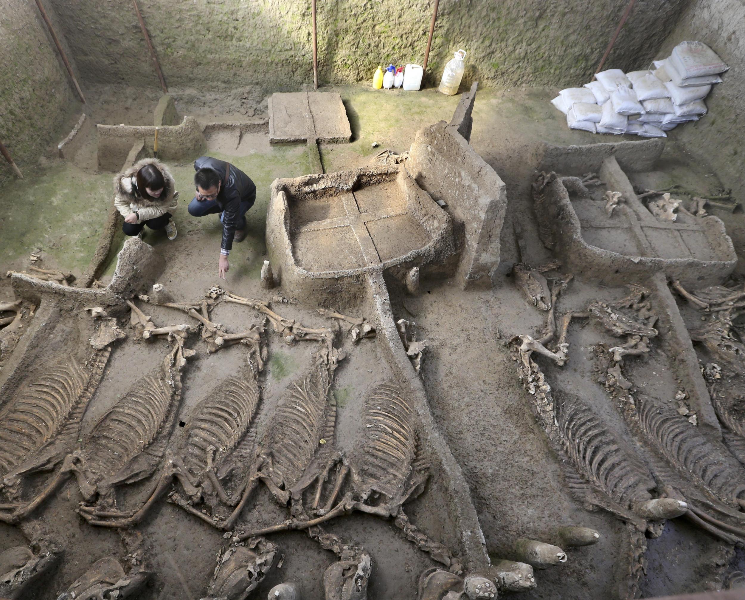 The tomb of a Luhun nobleman and his family also contained the skeletons of 13 horses and six chariots