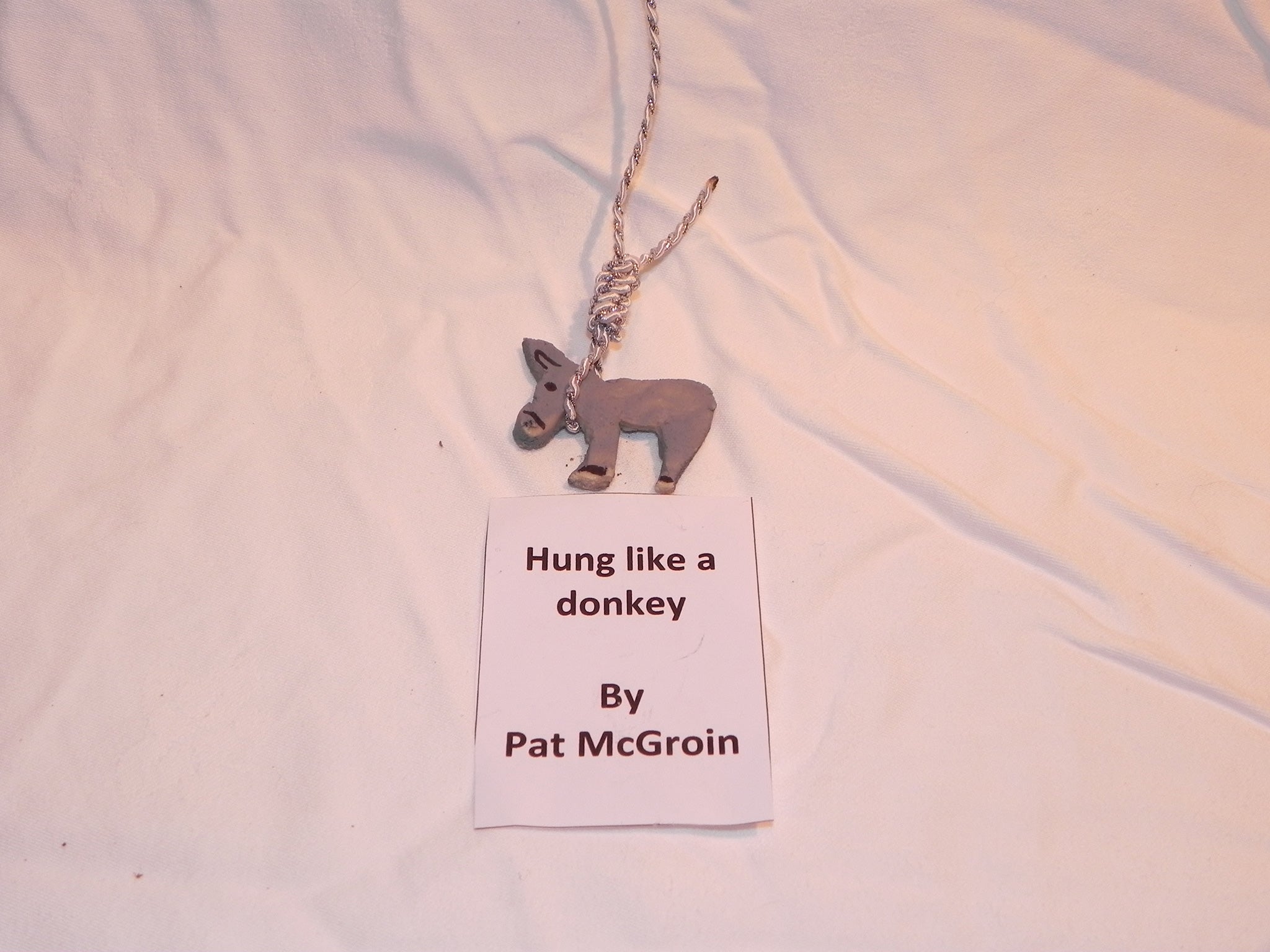 Pat McGroin’s ‘Hung like a Donkey’