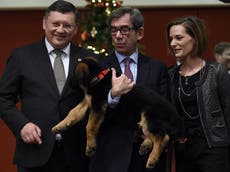 Read more

Russia hands over puppy to replace police dog killed in Paris raids