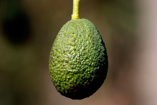 Have we reached the point of 'peak avocado'?