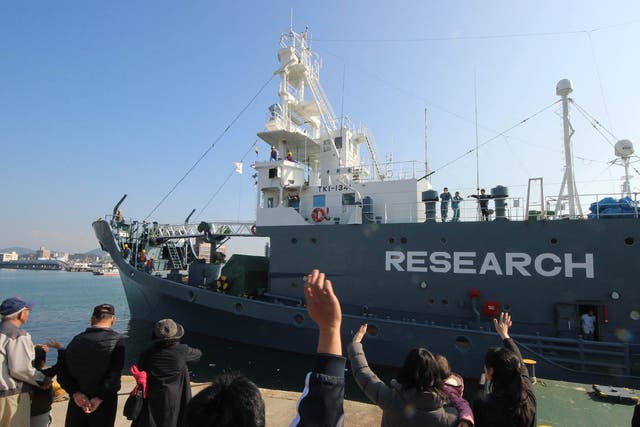 A Japanese whaling ship leaves the port of Shimonoseki in Yamaguchi prefecture, western Japan on December 1, 2015, to resume whale hunting in the Antarctic