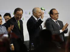 Read more

Governments ratify historic new climate change deal