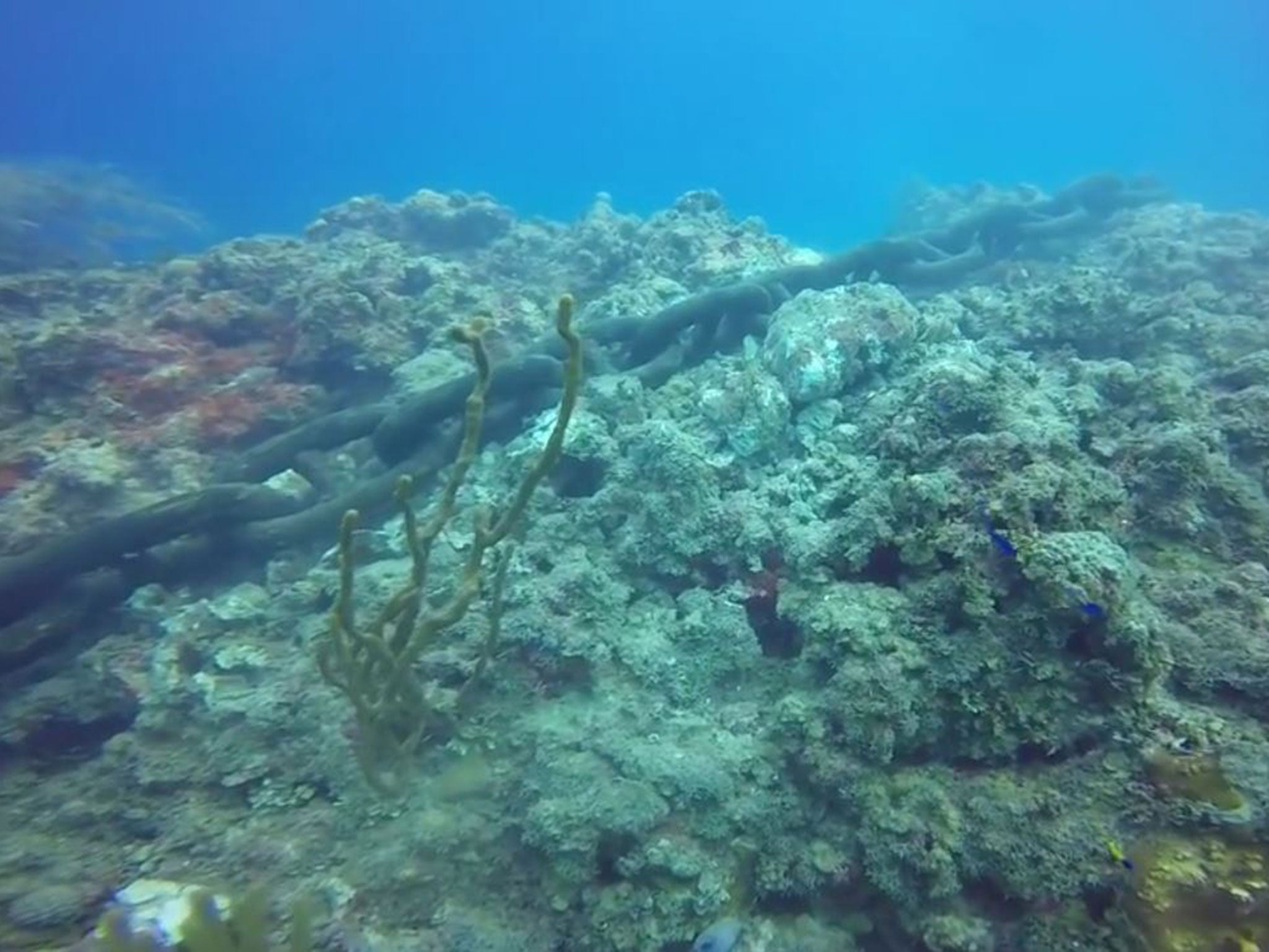 The anchor rests on a portion of the reef near Don Fosters and Eden Rock, off the George Town port