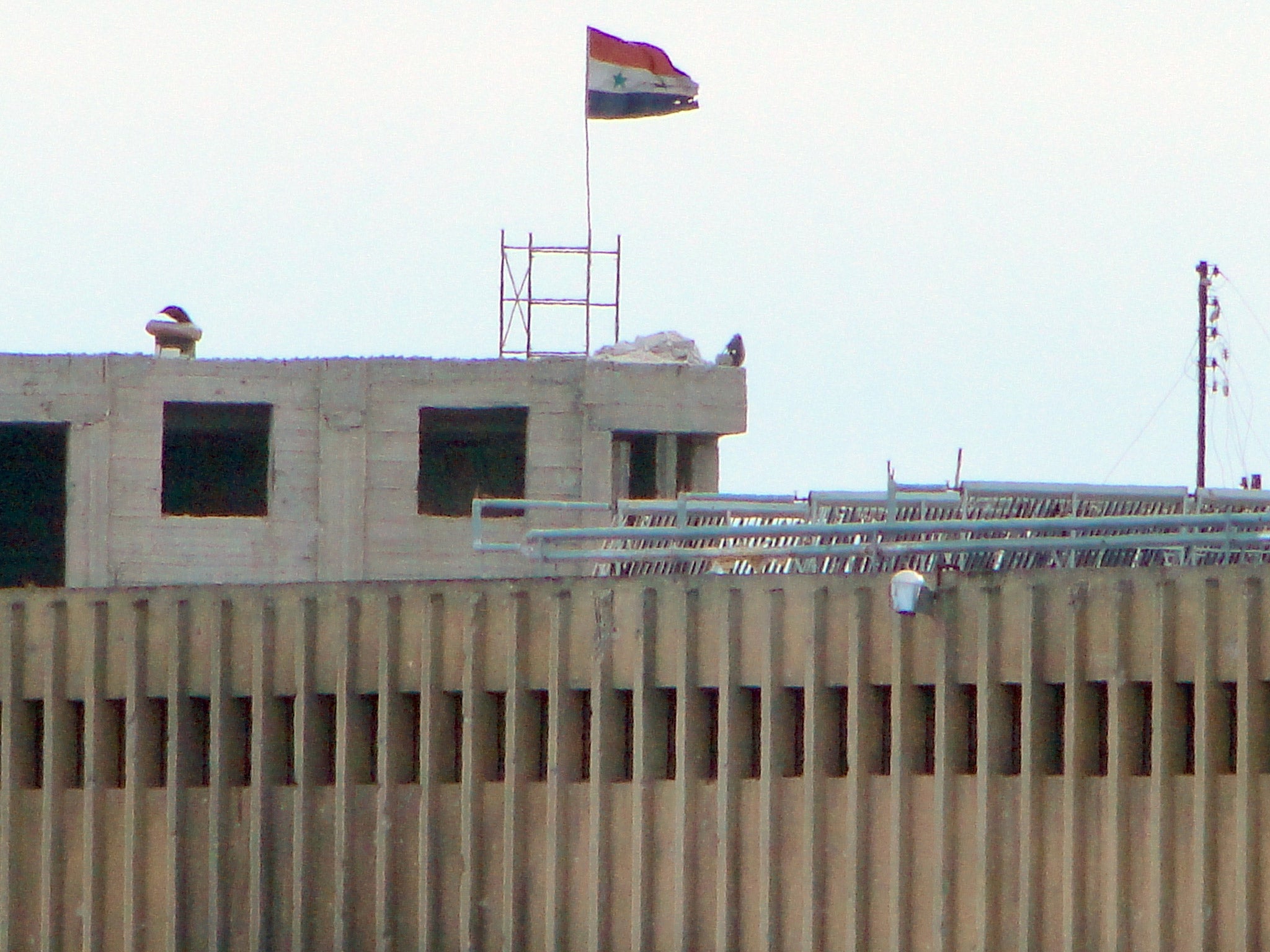 The Syrian national flag waes in the wind over Aleppo's central prison