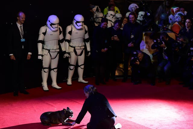 Carrie Fisher plays with her dog Gary on the red carpet of the European premiere of Star Wars: The Force Awakens