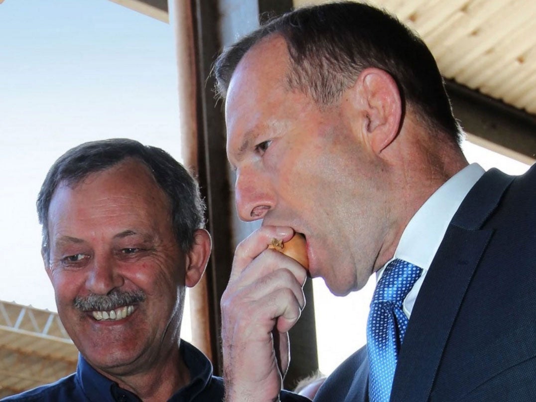 Australian Prime Minister Tony Abbott samples a raw onion with the skin as Charlton Farm Produce Director David Addison looks on. Abbott visited the farm in Moriarty, Tasmania on March 13