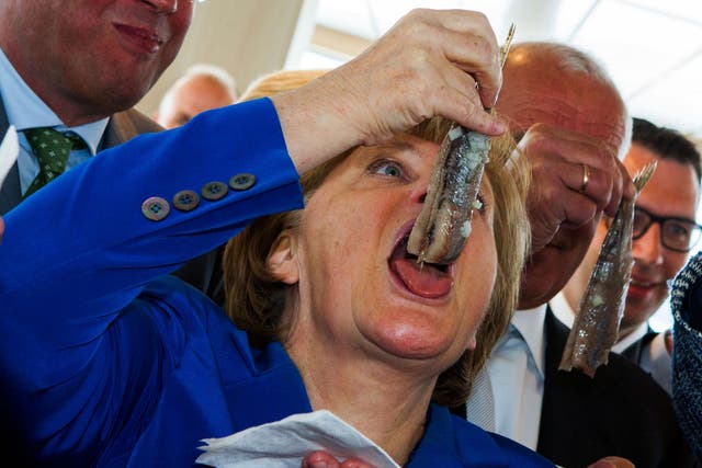 German Chancellor Angela Merkel eats a pickled herring after the name-giving ceremony for the fish trawler ROS 777 "Mark," of the Warnemuender fishery in Sassnitz, Germany, on May 26