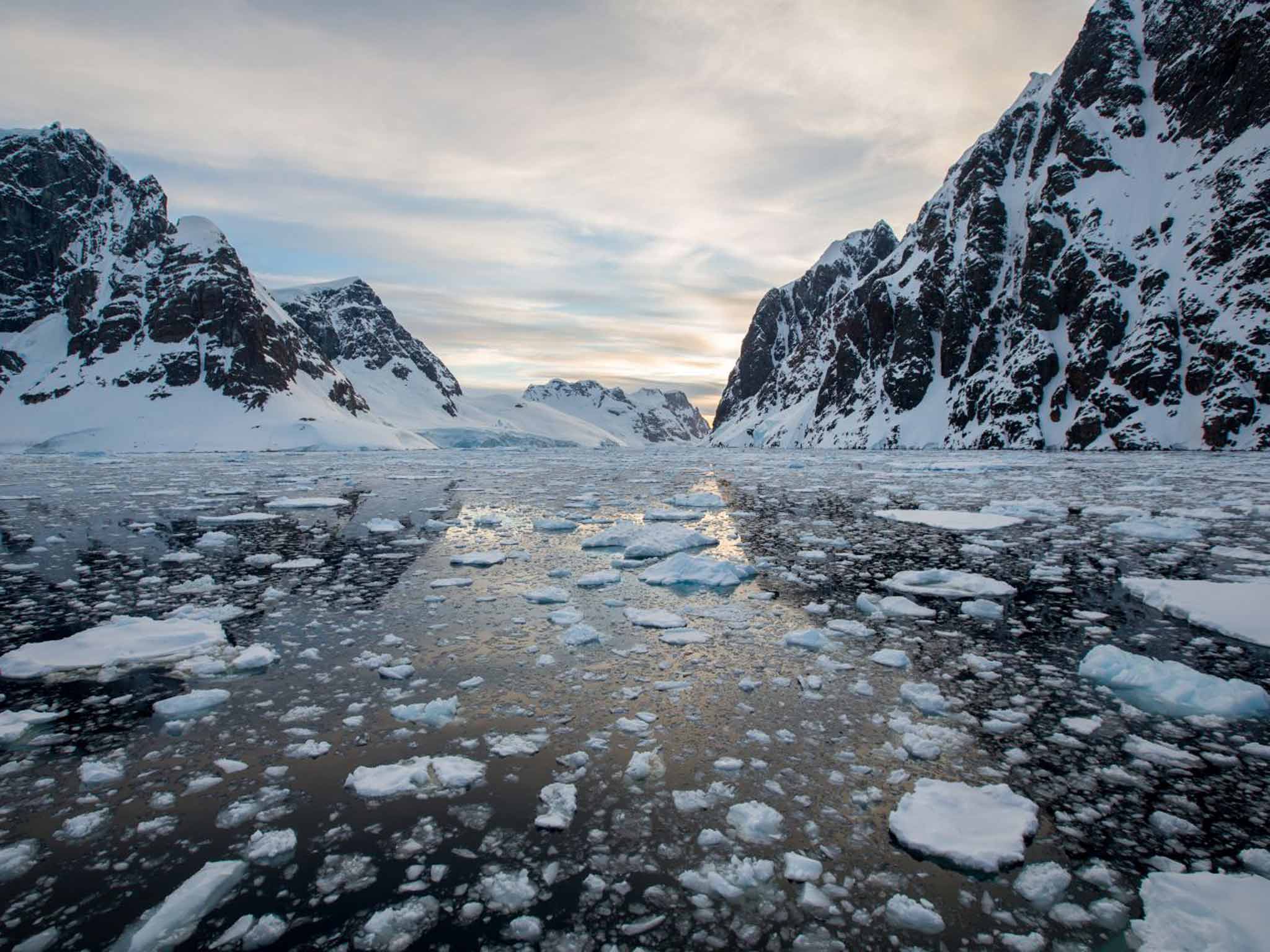 Cruise around Antarctica