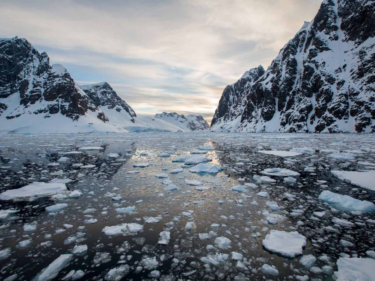 Antarctica cruise: Explorer Rebecca Stephens follows Shackleton’s route ...