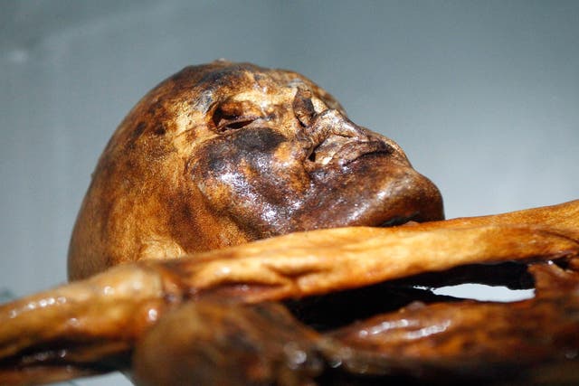 The mummy of an iceman named Otzi, discovered on 1991 in the Italian Schnal Valley glacier, is displayed at the Archaeological Museum of Bolzano on February 28, 2011 during an official presentation of the reconstrution