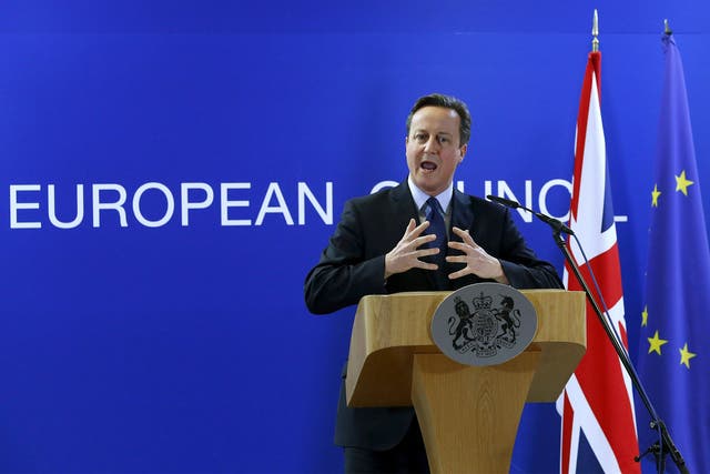 David Cameron described talks with EU leaders as 'lively' 