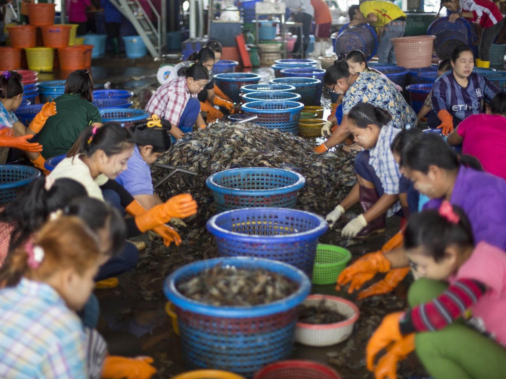 Female workers, wearing a yellow-white cosmetic paste known as thanka on their cheeks, sort shrimp at a seafood market in Mahachai, Thailand.