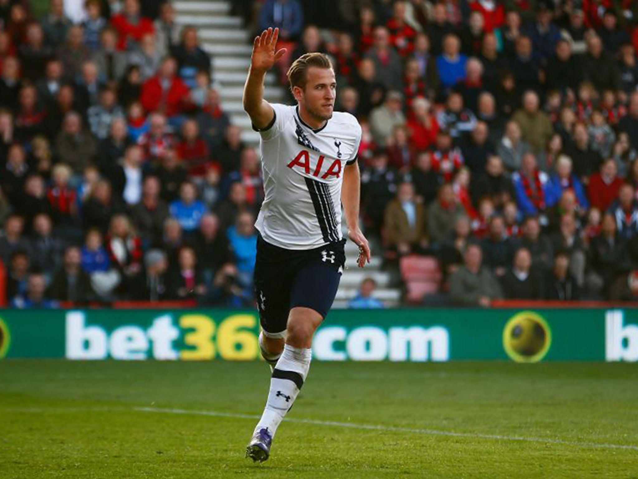 Harry Kane celebrates scoring another goal for Tottenham