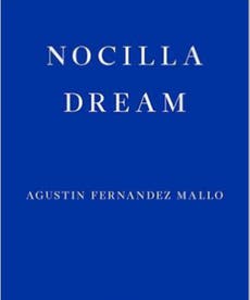 Nocilla Dream, book review: Strange beauty of the nada in Nevada