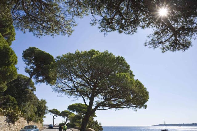 A fantasy break in the South of France on quiet roads helps ease writer's block