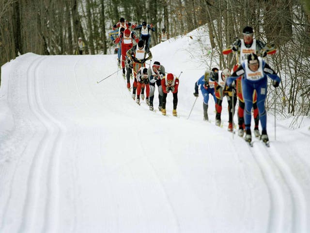 Skiers taking part in the Gatineau Loppet