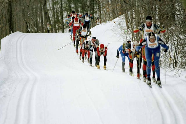 Skiers taking part in the Gatineau Loppet