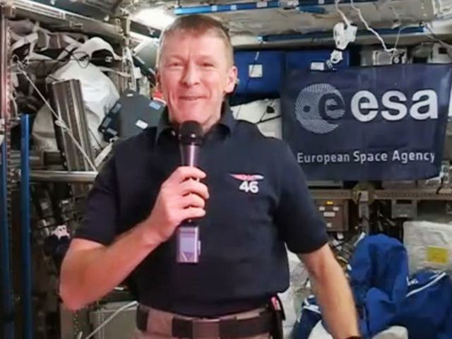 Tim Peake will make an appearance at his family's Christmas dinner in the form of a cardboard cut-out