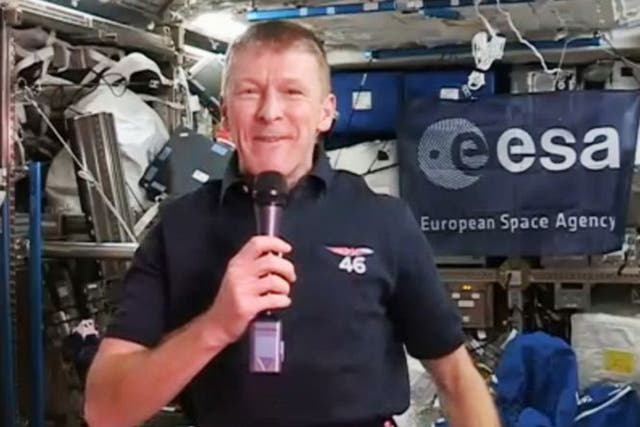 Tim Peake will make an appearance at his family's Christmas dinner in the form of a cardboard cut-out