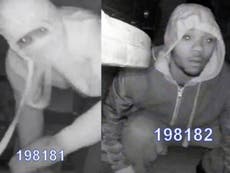 CCTV captures two men stealing from underneath a Christmas tree
