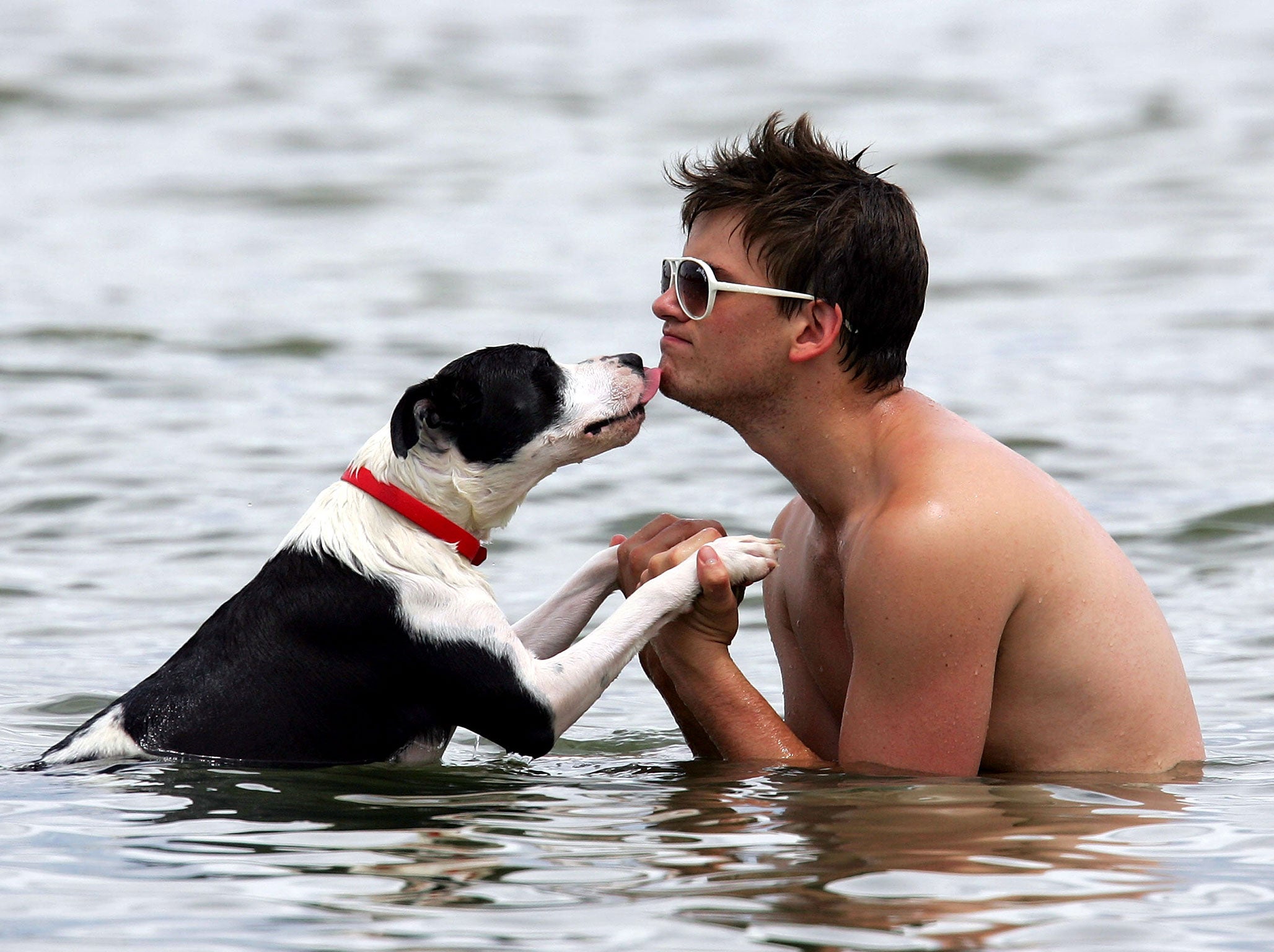 A study has shown that owning a dog can make a man more attractive