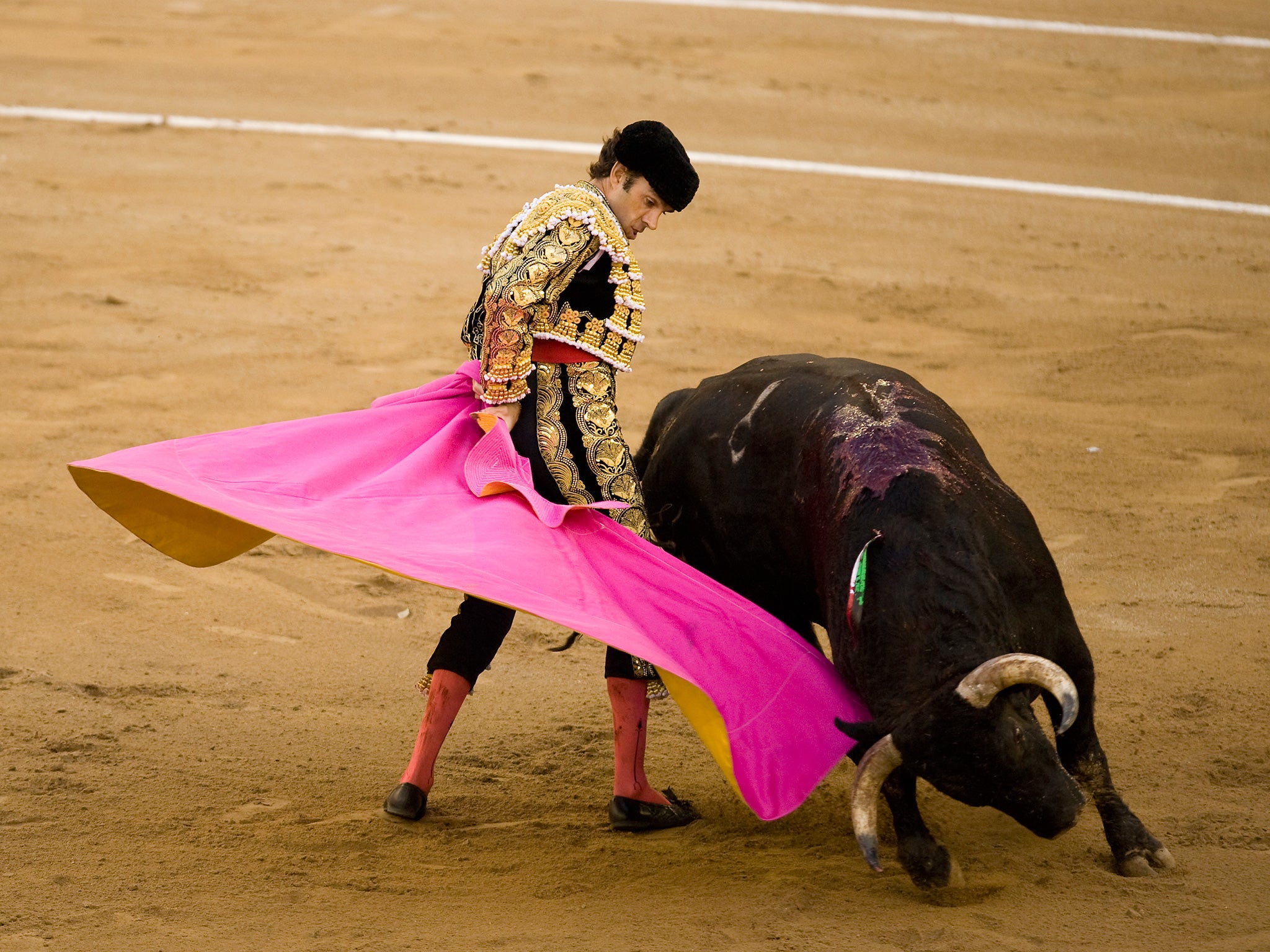 Bullfighter Jose Tomas performs during the last bullfight at the La Monumental on September 25, 2011 in Barcelona, Spain