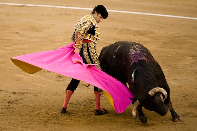 Bullfighter Jose Tomas performs during the last bullfight at the La Monumental on September 25, 2011 in Barcelona, Spain