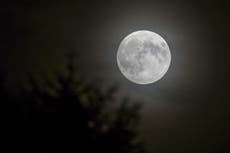 Read more

Full moon to appear on Christmas Day for the first time in 38 years
