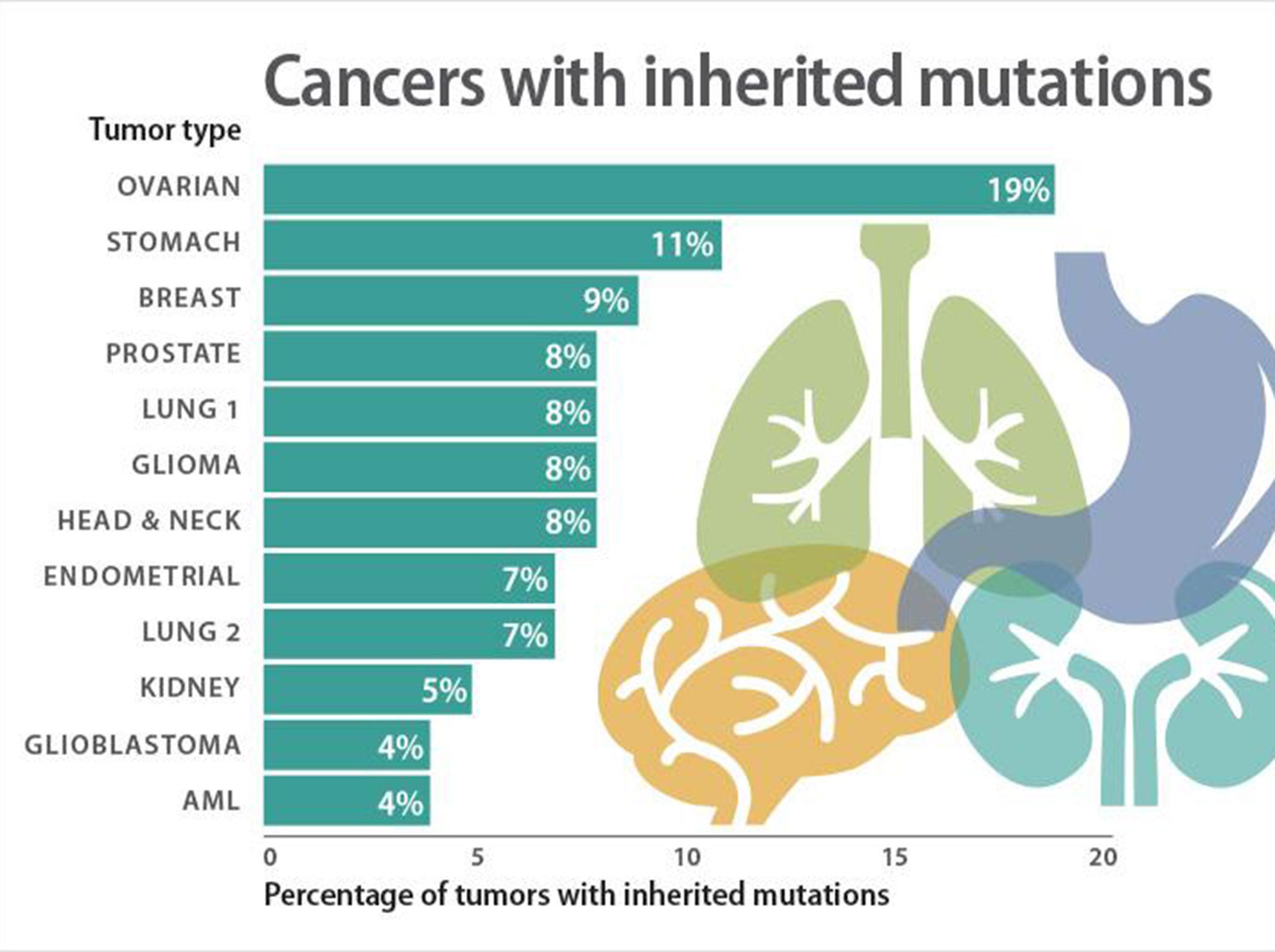 Lung 1 refers to Lung squamous cell carcinoma, and Lung 2 is lung adenocarcinoma. (Image: Sara Dickherber)