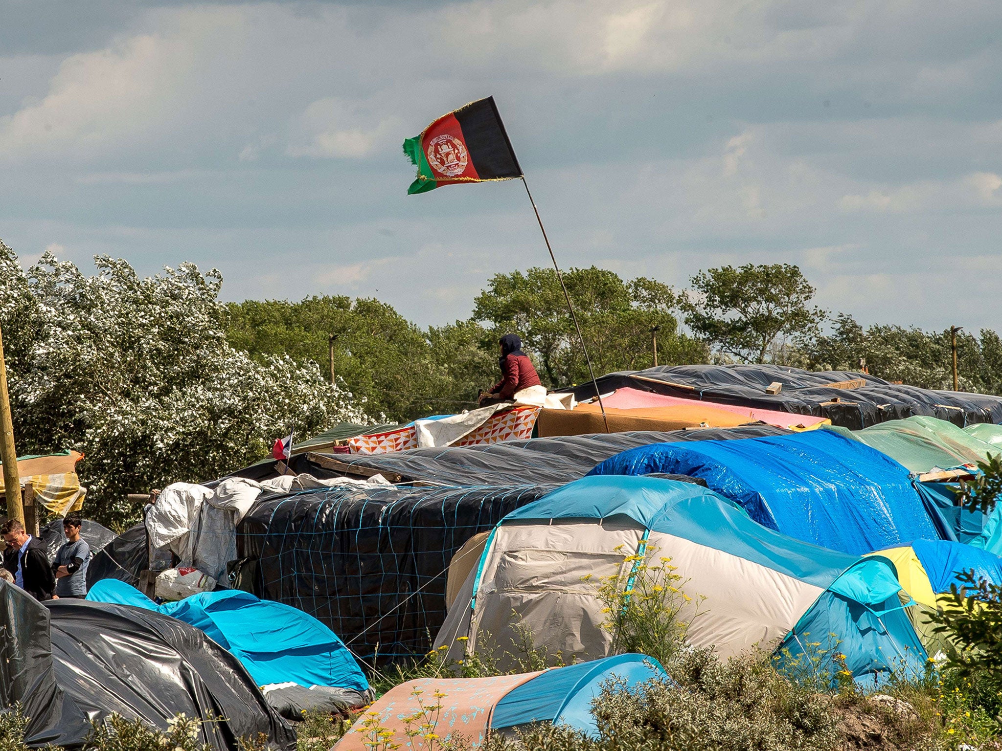 An Afghan flag flies above makeshift shelters at a site dubbed the 'new jungle', where migrants trying to cross the Channel to reach Britain have camped out around the northern French port of Calais, on July 29, 2015