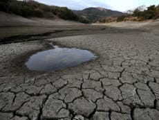 Read more

Strongest El Nino on record 'could starve millions'