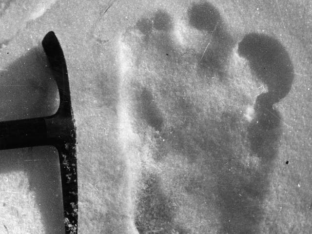 A reported footprint of the Abominable Snowman, taken near Mount Everest in 1951