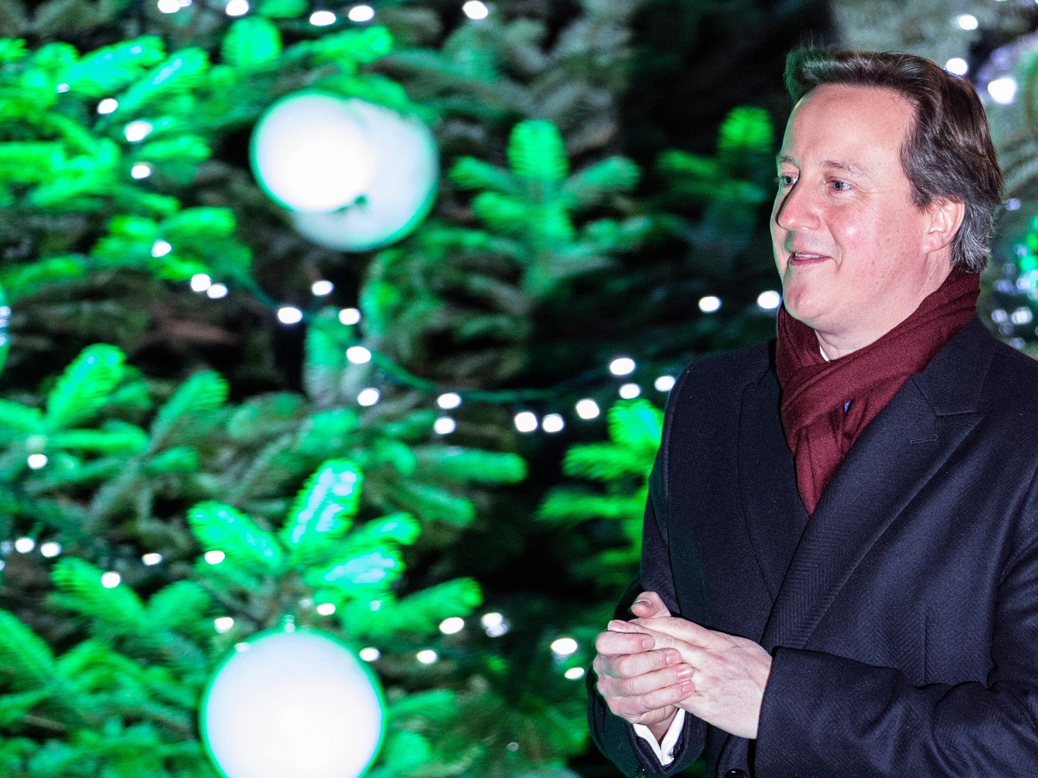 David Cameron at the lighting of Downing Street's Christmas tree