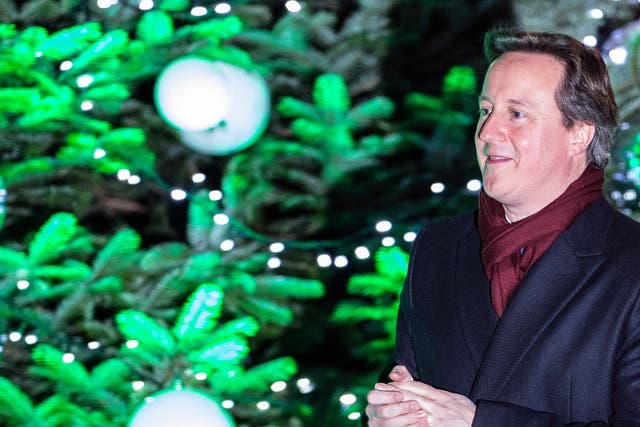 David Cameron at the lighting of Downing Street's Christmas tree
