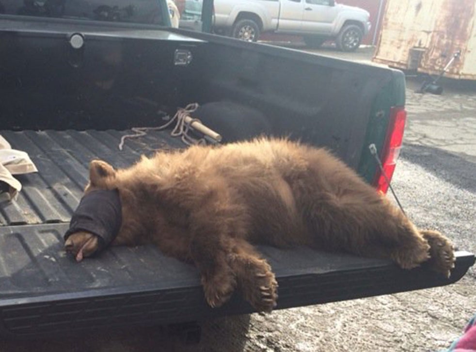 Bear rides over 60 miles through California hidden in back of bin lorry