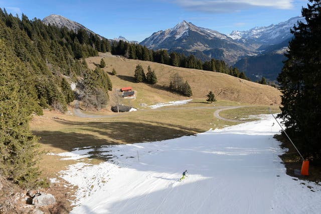 Skiers in action on a ski slope covered with artificial snow surrounded by green fields, in the Swiss Alps, during Christmas holydays, in Leysin, Switzerland. The snow has melted as a result of the mild temperatures throughout the last few days