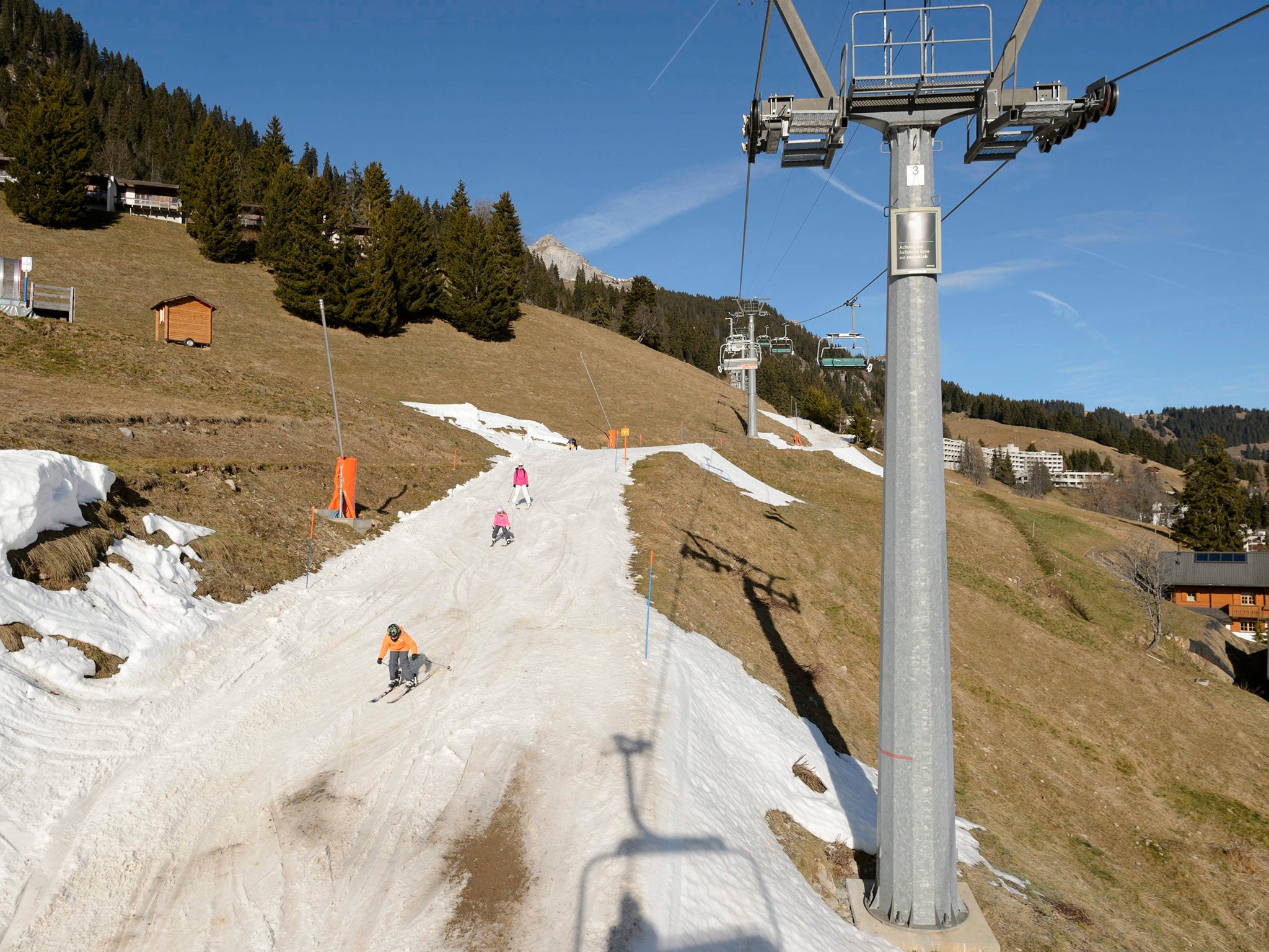 Skiers in action on a ski slope covered with artificial snow surrounded by green fields, in the Swiss Alps, during Christmas holydays, in Leysin, Switzerland