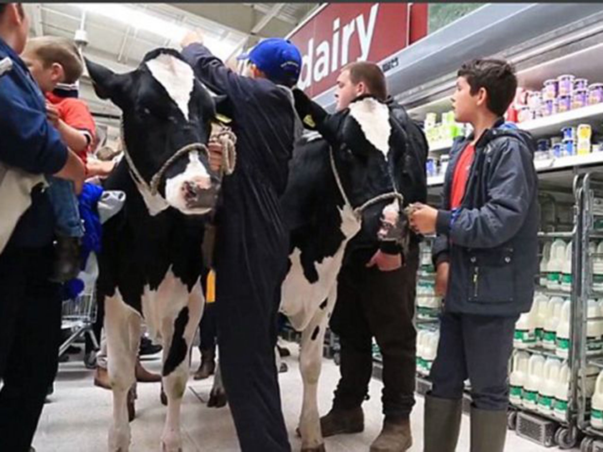 Dairy farmers put supermarkets on the defensive. Morrison’s reacted with Milk for Farmers, which cost more than its ordinary milk