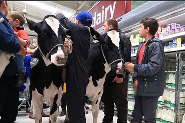 Dairy farmers put supermarkets on the defensive. Morrison’s reacted with Milk for Farmers, which cost more than its ordinary milk