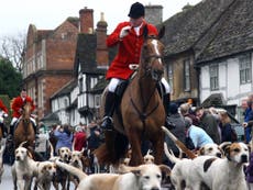 Read more

Leadsom pledges to lift fox hunting ban 'to improve animal welfare'
