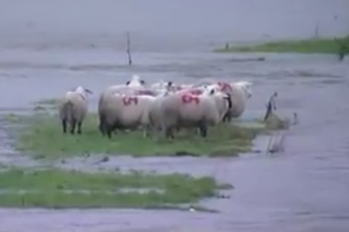 UK Flooding: video demonstrates the scale of devastation as 