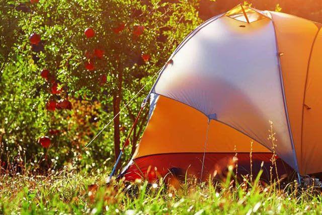 Pitch in: garden camping