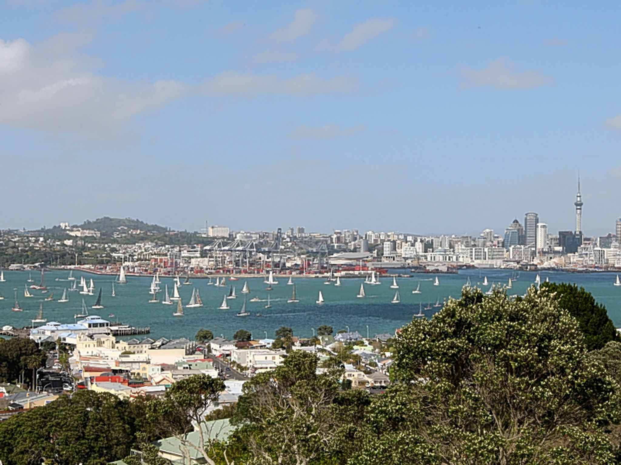 Sails pitch: yachts in Waitemata Harbour